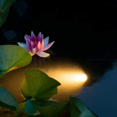 Ubbink AquaSpotlight Power LED - Unterwasser-Spot Trafo 12V