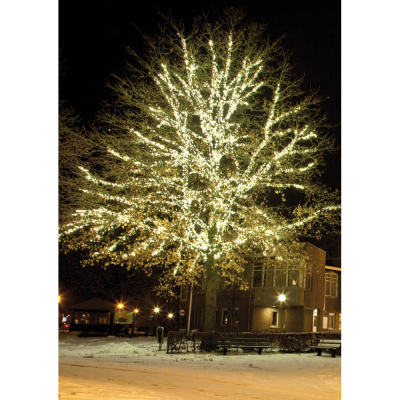 Wing Links LED-Minilichterkette 31V-System 5m