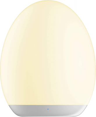 STAR Trading Nachtlicht oval 8 Farben aufladbar, USB-Anschluss