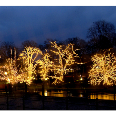STAR Trading LED-System LED Lichtvorhang 102 BS warmweiß/schwarz außen