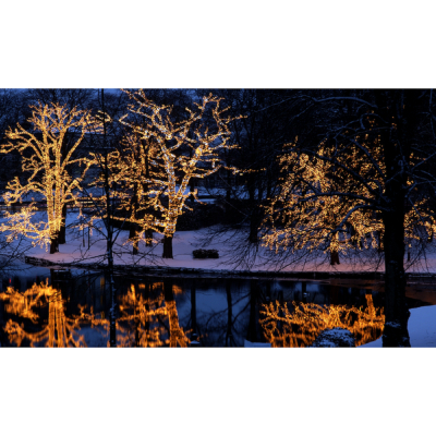 STAR Trading LED-System LED Lichterkette 50 BS warmweiß/schwarz