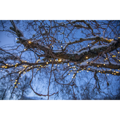 STAR Trading LED-System LED Lichterkette 50 BS warmweiß/schwarz