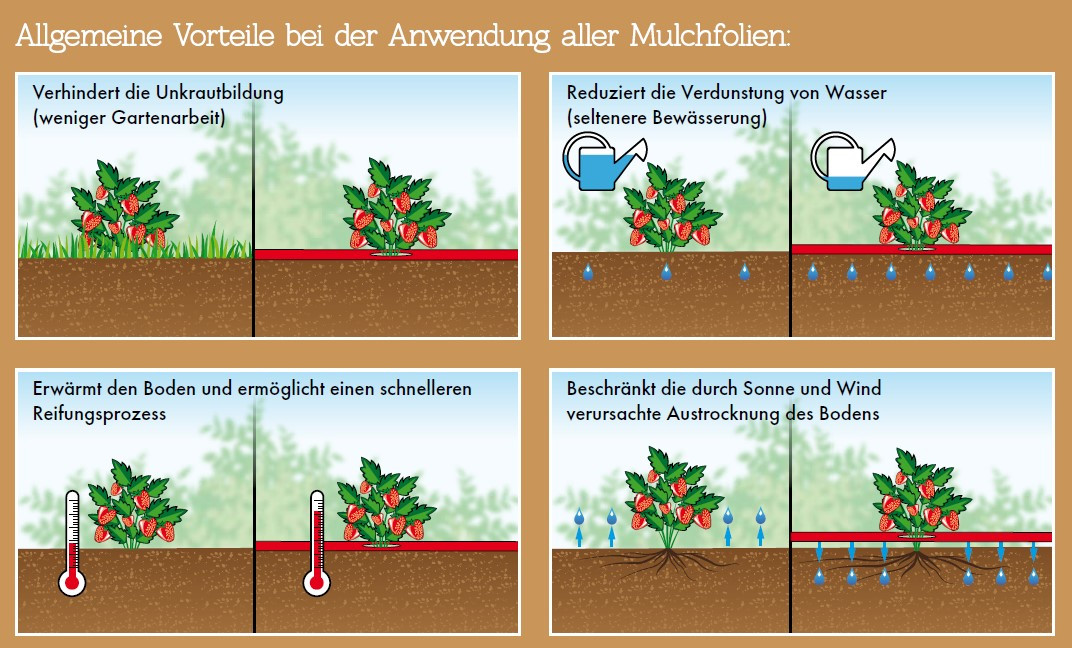 NATURE Mulchfolie, Anzuchtfolie für TOMATEN rot, 0,95 x 10 m