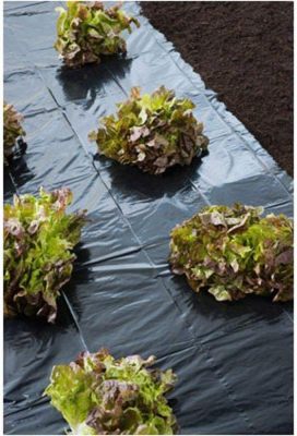NATURE Mulchfolie, Abdeckfolie, Anzuchtfolie - LDPE schwarz, 30µ - 1,40 x 10 m