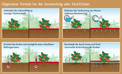 NATURE Mulchfolie, Abdeckfolie, Anzuchtfolie - LDPE schwarz, 30µ - 1,40 x 10 m