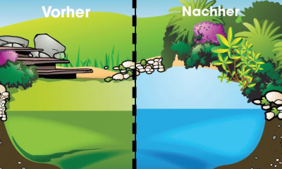 Ubbink Alg Clear UVC 10000 - UV-C Lampe (TUV-PL): 11 Watt