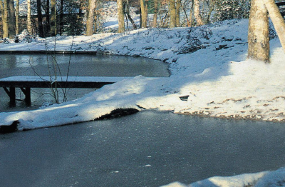 Ubbink 25 Basic - Eisfreihalter - Durchm. 25 cm