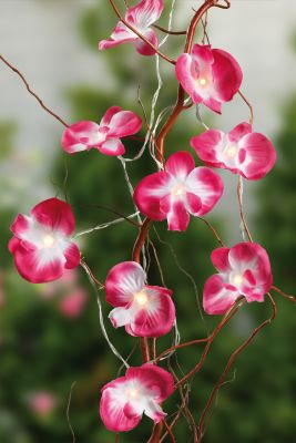 Hellum LED-Lichterkette Orchideen 10 BS innen