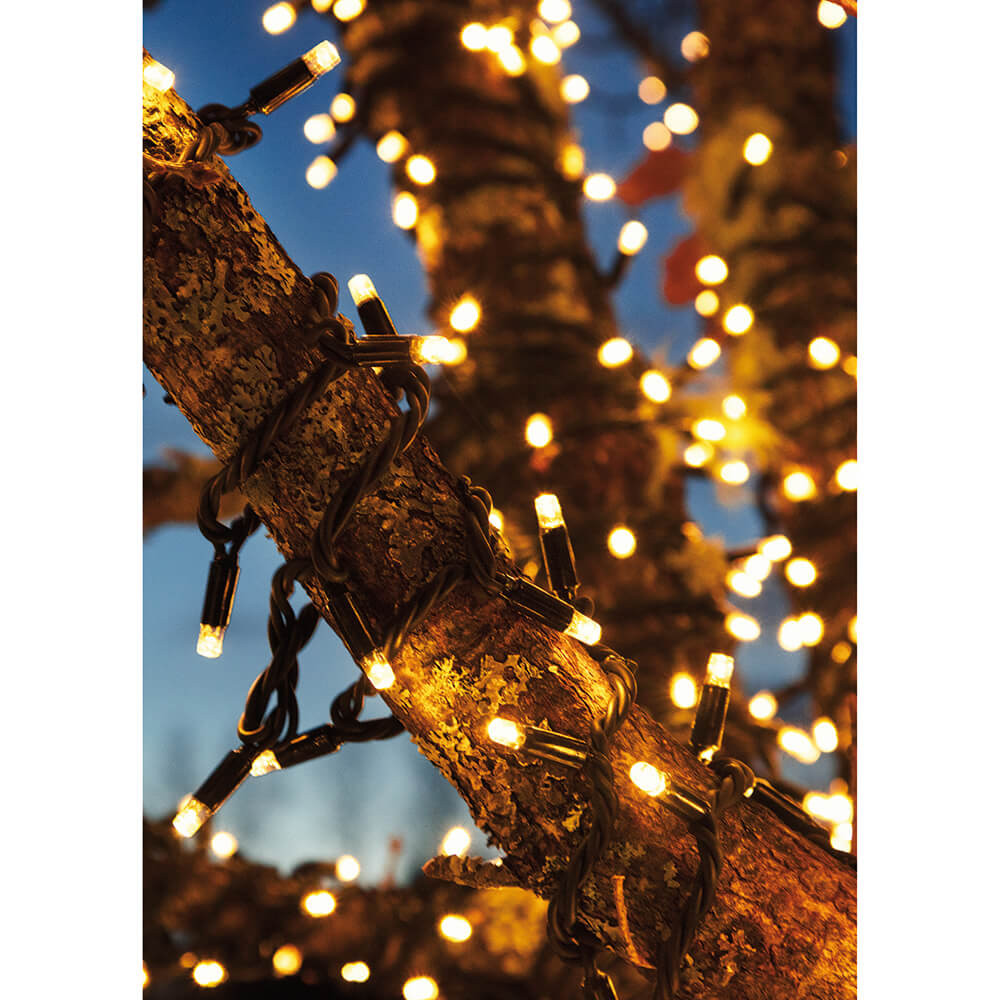 Mark Slöjd LED-Minilichterkette Chrissline Combi 230V-System 5m