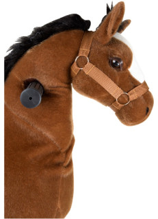 Small Foot Reitpferd Fohlen