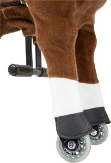 Small Foot Reitpferd Fohlen