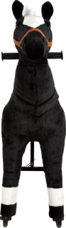 Small Foot Reitpferd Donner