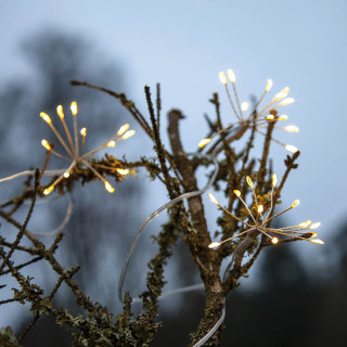 Star Trading LED-Minilichterkette Dew Drop Flower, 96 warmweiße LEDs