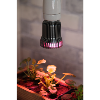 STAR Trading LED-Pflanzenlampe Wachsen Reflektor 5W E27