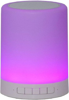 STAR Trading LED-Campinglampe it. Bluetooth-Lautsprecher/MicroSD/AUX