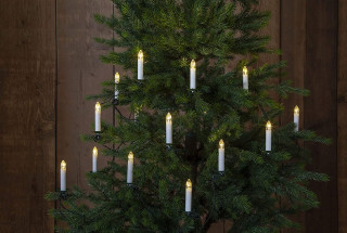 STAR Trading LED-Lichterkette mit Schaft 16 BS warmweiß/grün außen