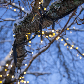 STAR Trading LED-System LED Lichterkette 30 BS warmweiß/schwarz, außen