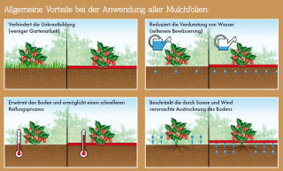 NATURE Mulchfolie, Anzuchtfolie für TOMATEN rot, 0,95 x 5 m