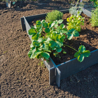 Ubbink Pflanzbeet aus recyceltem PVC, 10 mm stark, Streifen - H19 x 100 x 100 cm - 4 x