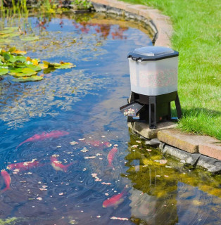 Ubbink Koi Futterautomat - Solarbetrieben - 6l Tank