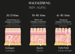XAXX Kollagen 6-IN-1 BEAUTY ELIXIR Collagen-Drink