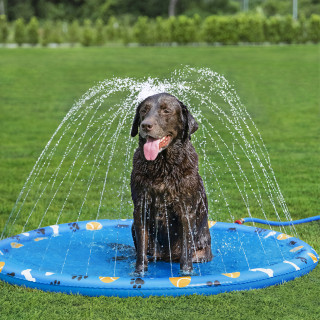 Bestway Wassermatte Pfote für Haustiere Durchm. 147 cm