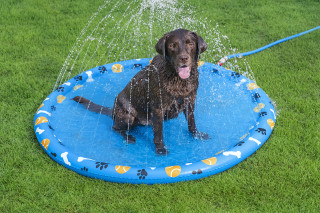 Bestway Wassermatte Pfote für Haustiere Durchm. 147 cm