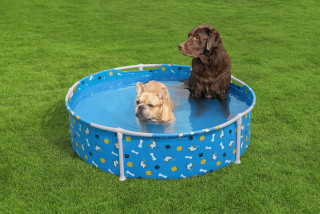 Bestway Frame Pool Pfotefür Haustiere Durchm. 122 x 30,5 cm