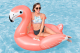 Bestway Schwimmtier Flamingo 148 x 127 x 99 cm