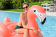 Bestway Schwimmtier Flamingo 148 x 127 x 99 cm