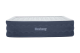 Bestway TriTech Doppelluftbett TruLeisure mit integrierter Elektropumpe 203 x 152 x 51 cm
