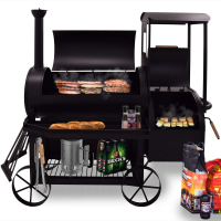 Syntrox Smoker Lokomotive mit Räucherofen