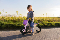Small Foot Laufrad-Trike Maxi 2 in 1 Rosa