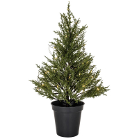 Star Trading Weihnachtsbäumchen Thuja, 40 warmweiße LEDs