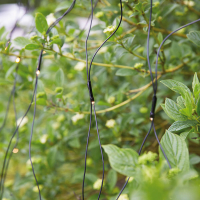 Mark Slöjd LED-Lichternetz Garden 24, 160 LEDs 4 W, schwarzes Kabel