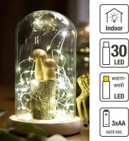 Hellum LED-Glasglocke 19,5cm mit Lichterkette 30 BS warmweiß/silber