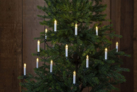 STAR Trading LED-Lichterkette mit Schaft 16 BS warmweiß/grün außen