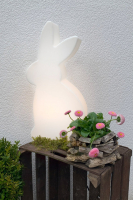 8 seasons - Motivleuchte Shining Rabbit 70 cm weiß LED