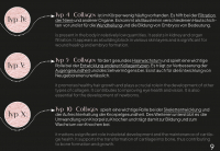 XAXX Kollagen 6-IN-1 BEAUTY ELIXIR Collagen-Drink