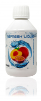 XAXX HC Refresh Liquid PFIRSICH MARACUJA Konzentrat 1:150, 250 ml, zuckerfreier Sirup