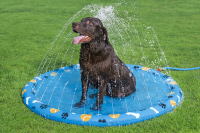 Bestway Wassermatte Pfote für Haustiere Durchm. 147 cm