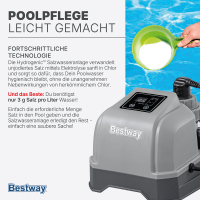 Bestway Salzwasseranlage Hydrogenic 2 g/h, 19 W