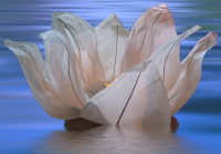 Wasserlaterne Lotusblume mit Teelicht Schwimmlaterne 6 Stück
