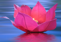 Wasserlaterne Lotusblume mit Teelicht Schwimmlaterne 6 Stück