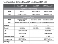 Ubbink Mamba mit LED -  Inox 316L, 20 LEDs blau, 12V, 1 1/2, Anschlussmaterial, H54 x 30 x 32 cm,  LED: 180 Lumen, EEK A+, 3W