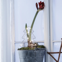 Weihnachtsleuchter Tannenbaum, Gardener, 10 warmweiße LEDs